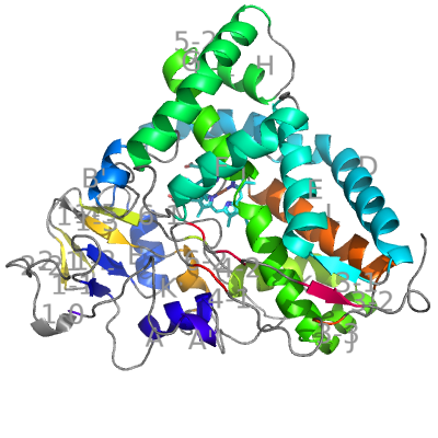 Pseudomonas putida cytochrome P450cam (1akd)